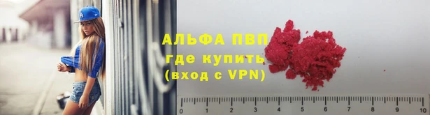 гашик Алексеевка
