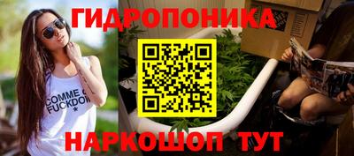 мяу мяу мука Усть-Джегута