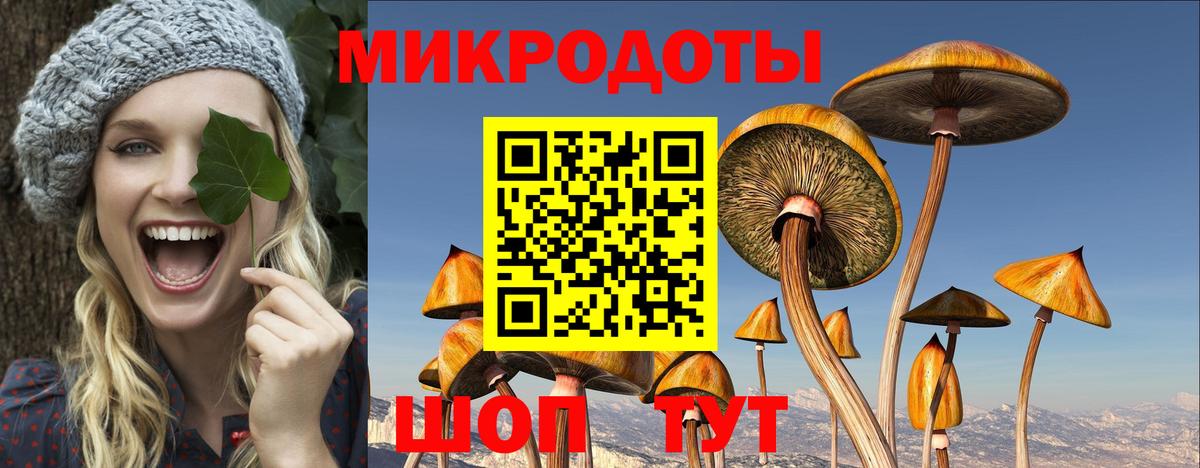 Псилоцибиновые грибы Psilocybe  Вход с VPN  Радужный  Галлюциногенные грибы мицелий 